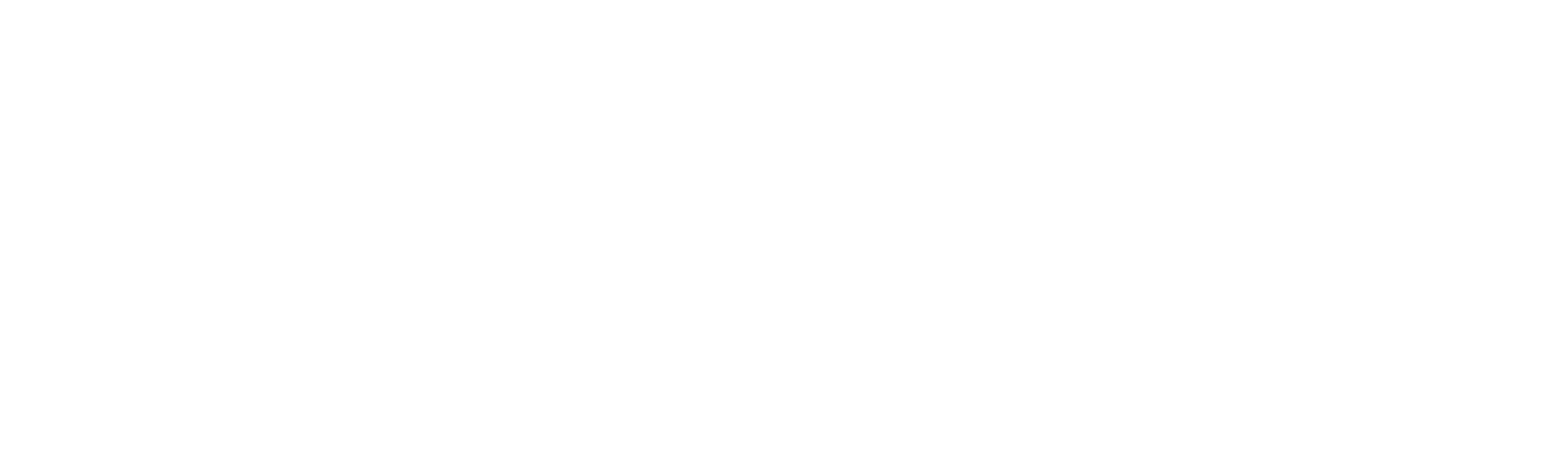 steel pro whitify